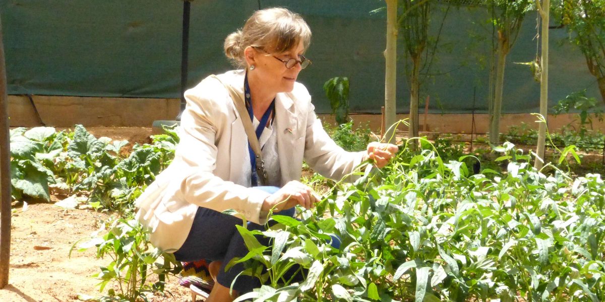 MCC Resident Country Director for Niger Kristin Penn examines a cowpea plant in Niamey. In July 2016, MCC and Niger signed a $437 million compact to bolster the country’s agricultural sector, in part, by increasing the regional competitiveness of cowpea and other key agricultural commodities. Photo credit: U.S. Embassy in Niger
