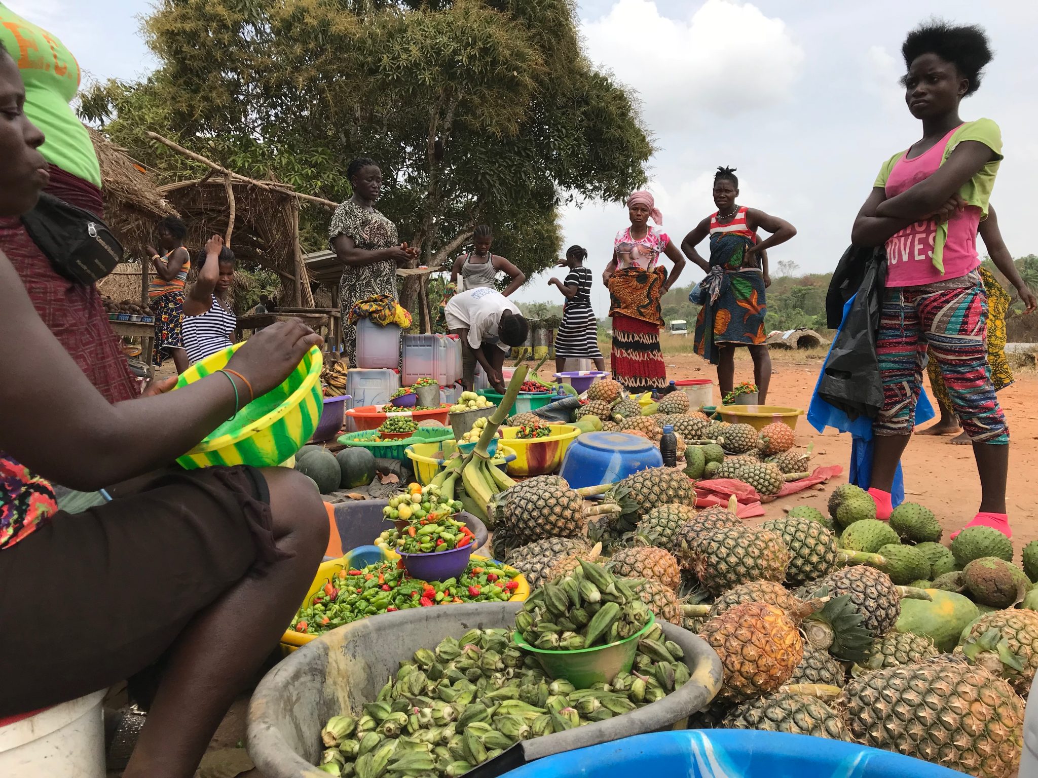 MCC Catalyzes Land Tenure Transformation in Liberia Millennium