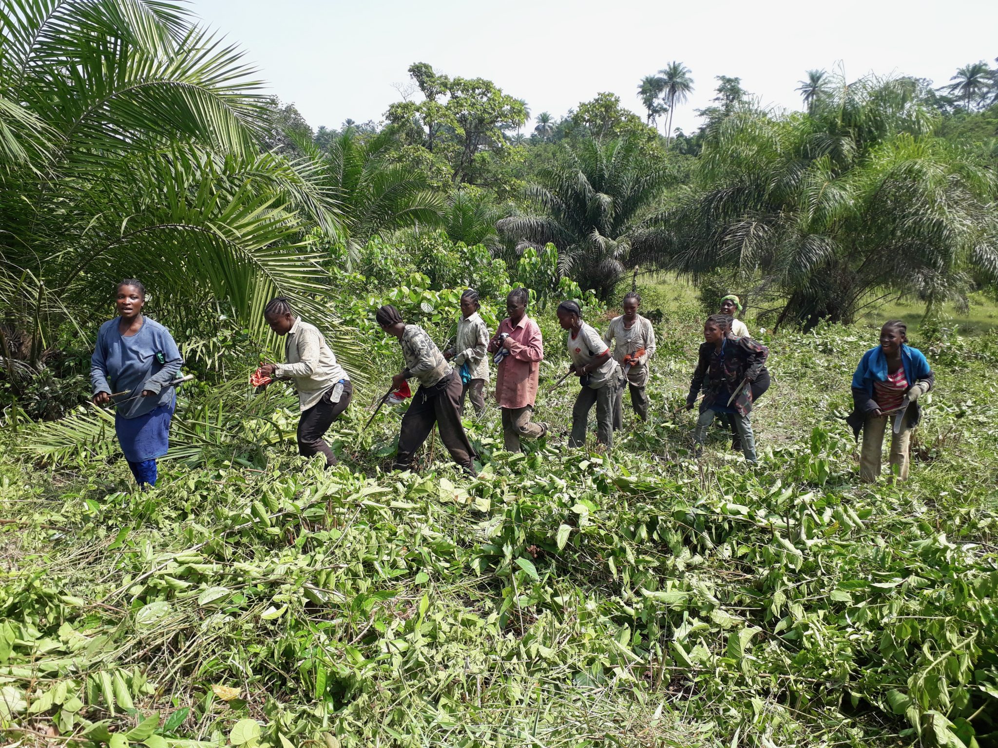 MCC Catalyzes Land Tenure Transformation in Liberia Millennium