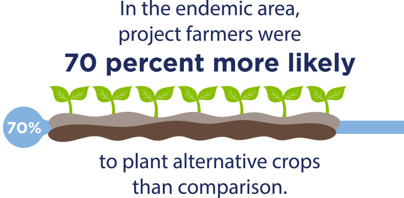 Graphic: Project farmers were 70 percent more likely to plant alternative crops than comparison.