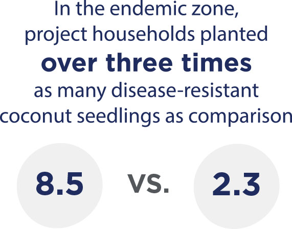 Graphic: Project households planted over three times as many disease-resistant coconut seedlings as comparison.