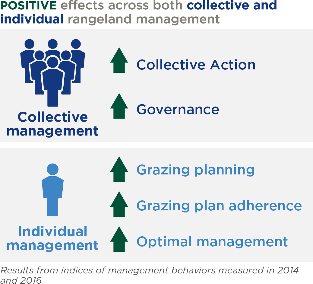 effects of collective and individual rangeland management