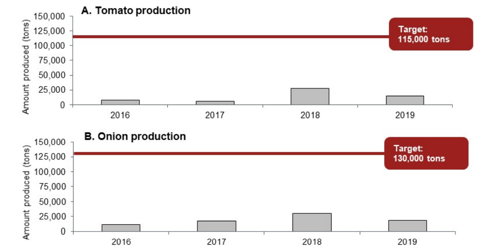 tomato and onion production