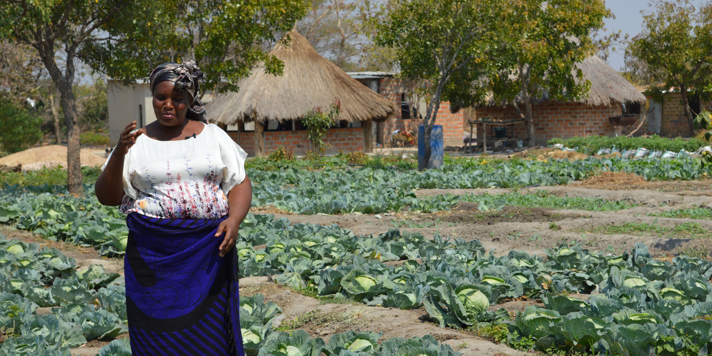 Paving Prosperity – Roads Project Drives Zambia’s Farm-to-Market Compact featured image