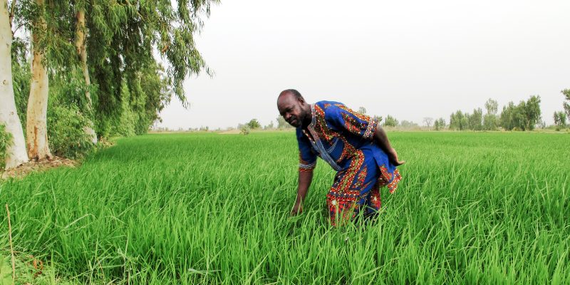 Promoting Land Tenure Security In Burkina Faso 