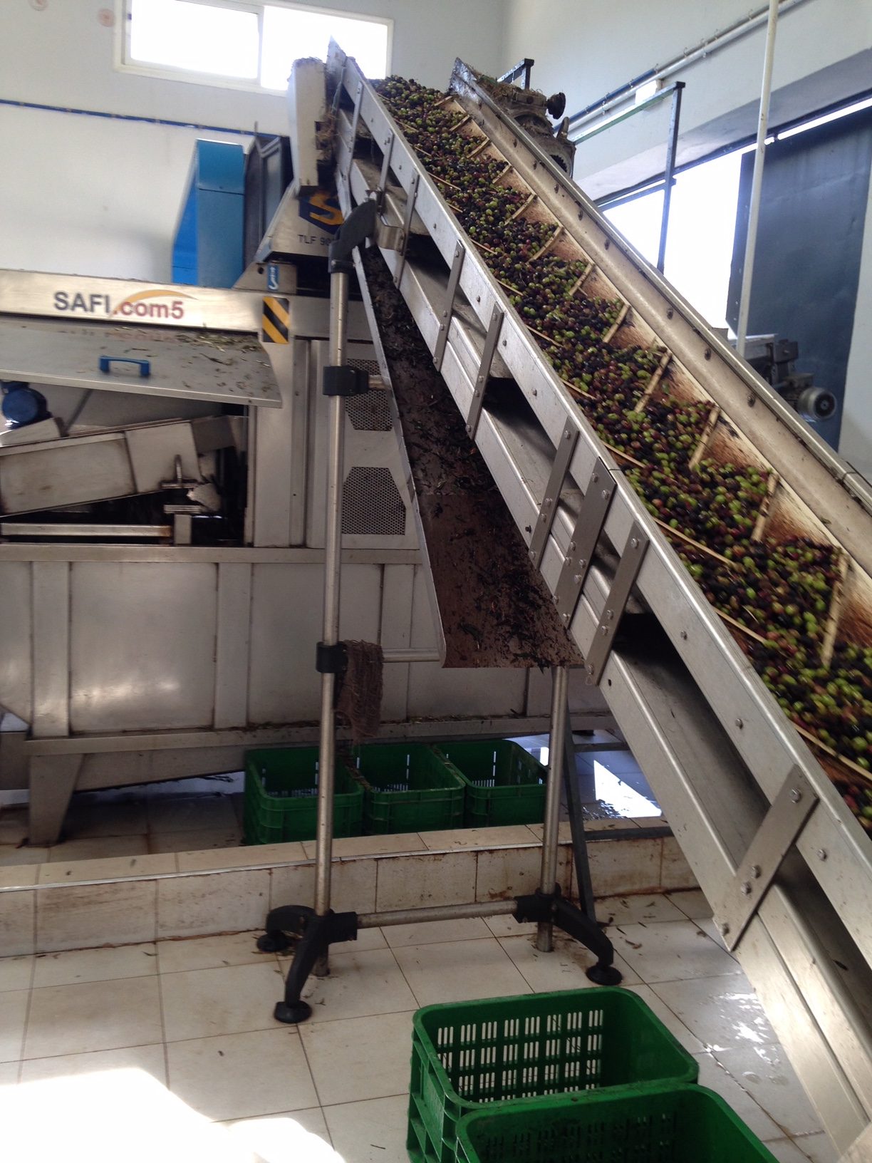 Machine crushing olives for processing.