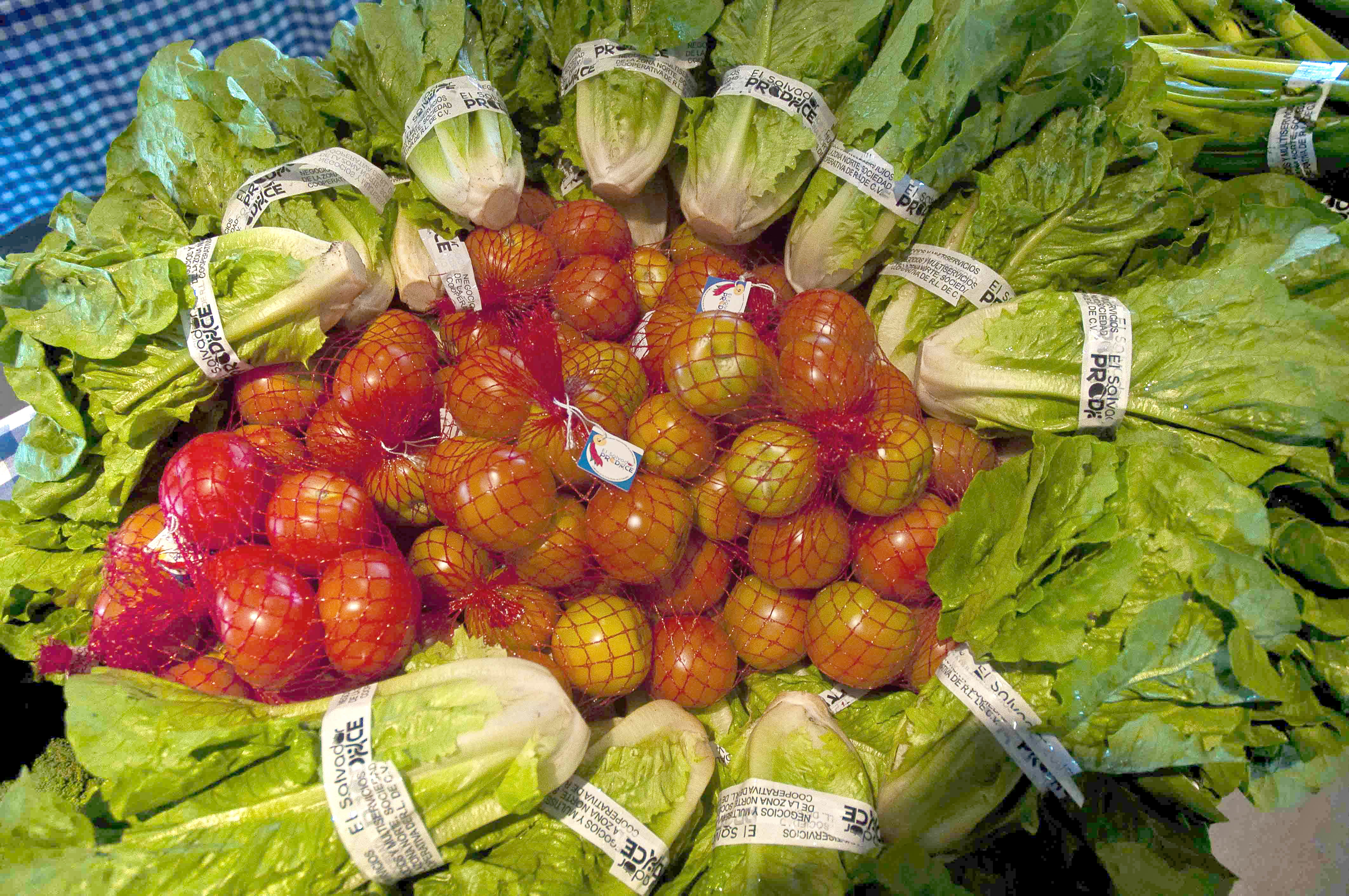 vegetables displayed for sale by an assisted enterprise
