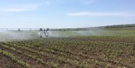 A sprinkler system irrigating a field with water from an MCC-rehabilitated irrigation system on the Nistru River in Moldova.