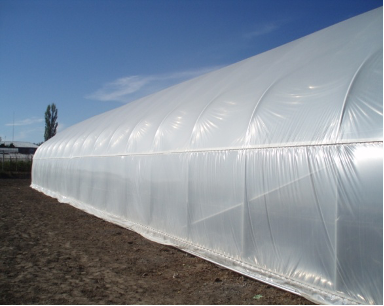 greenhouse built by a demonstration farmer
