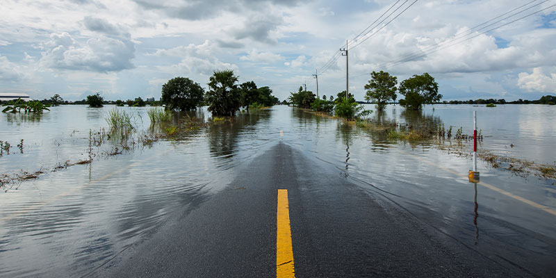 A paved road flooded lined with trees and power lines and flooded with water.