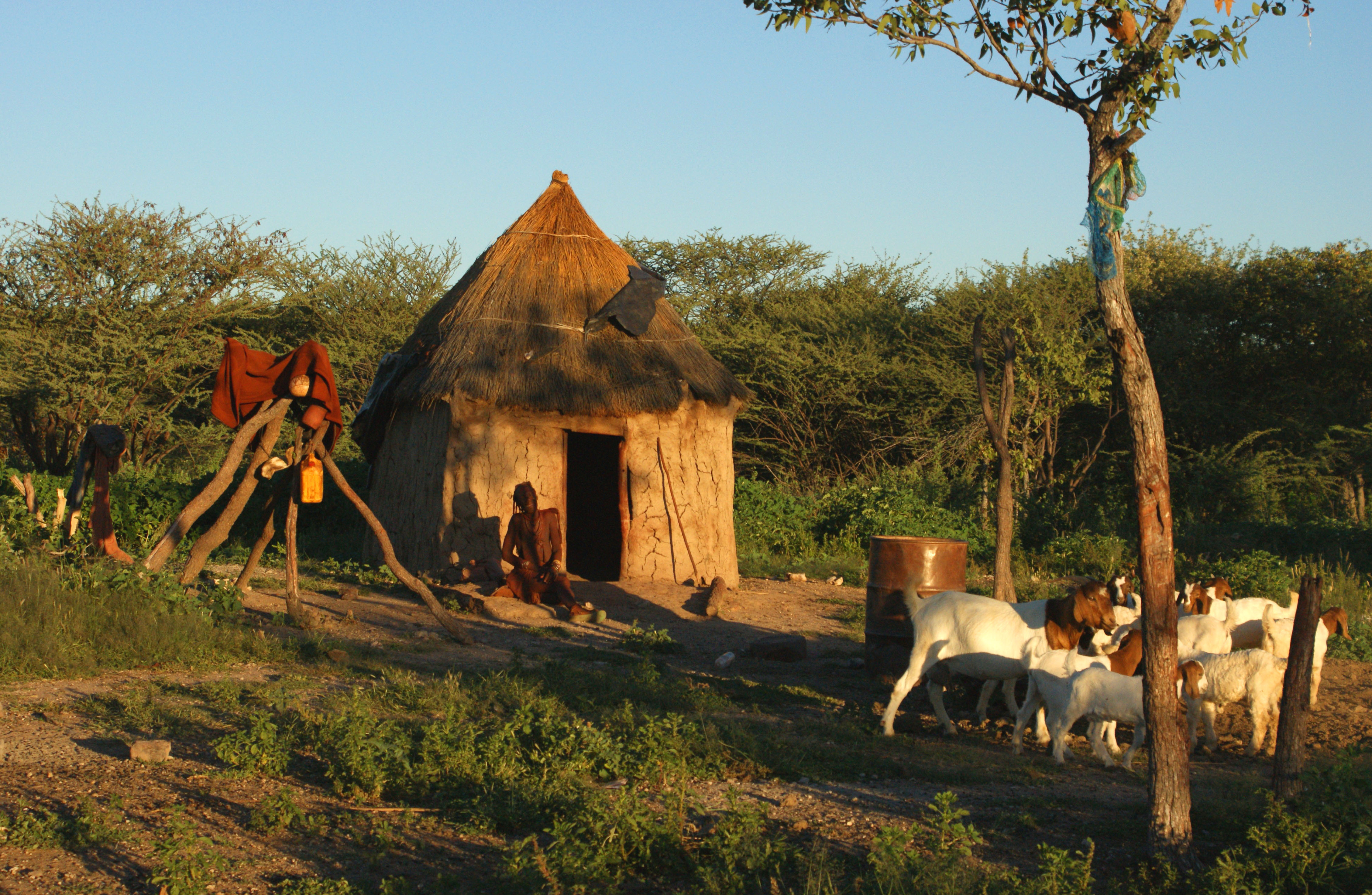 Namibian homestead