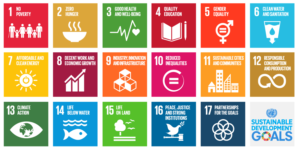 Graphic: The 17 SDGs